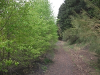 Serra_Pizzuta - 20052012 238.jpg